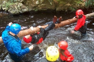  Hay muchas distracciones 